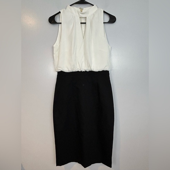 NWT Ted Baker Naimeyd Mockable Sleeveless Halter Pencil Skirt Dress Size 0-2 - Picture 4 of 15